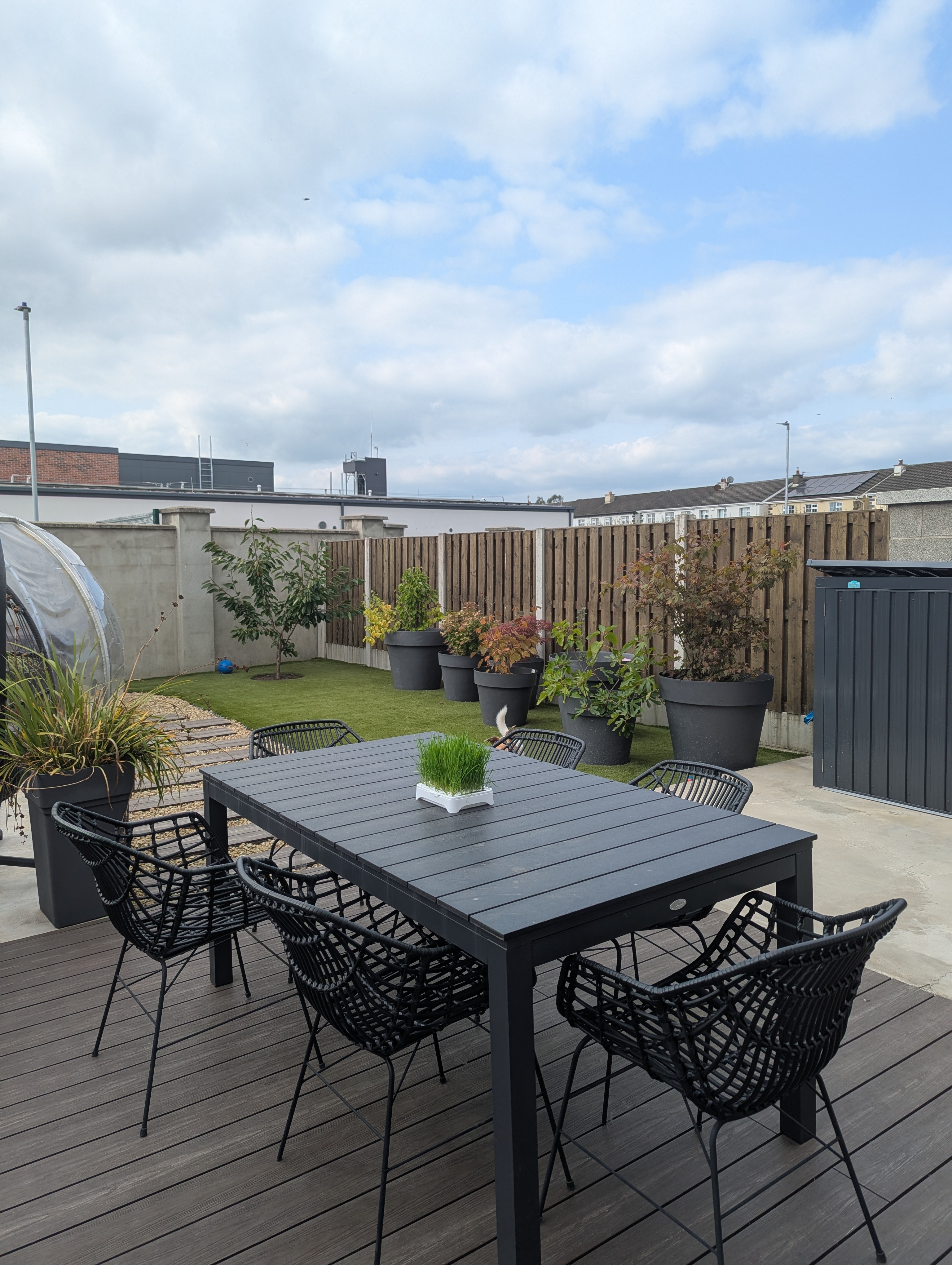 PXL_20250815_150234868.MP